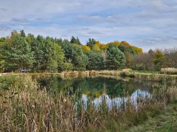 Park Sarenity w Mysłowicach otwarty! 4000 m² zieleni w dzielnicy Kosztowy