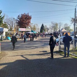 Mysłowicka giełda działa w najlepsze