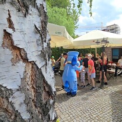 Festyn „Gotuj się do pomocy”