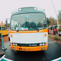 II Zlot Autobusów Ikarus na Śląsku