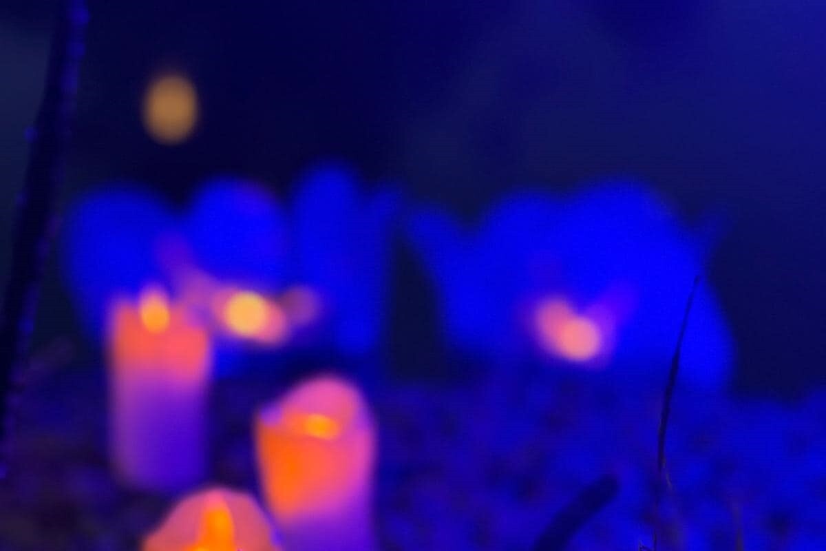 Koncert Paweł Krawiec Trio - Cykl "Między wodą a słońcem" / fot. FB Dariusz Wójtowicz