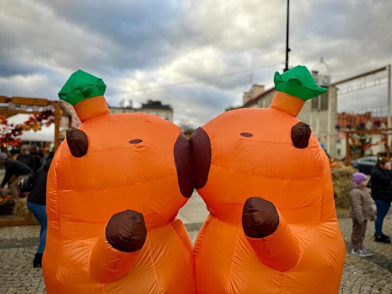 „Kapibary Jesieniary na Rynek” – Mysłowice biją rekord liczby kapibar!