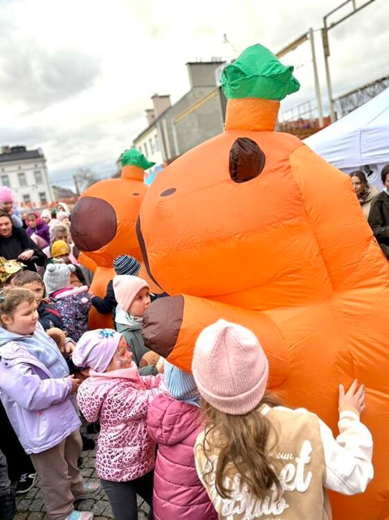 „Kapibary Jesieniary na Rynek” / fot. UM Mysłowice