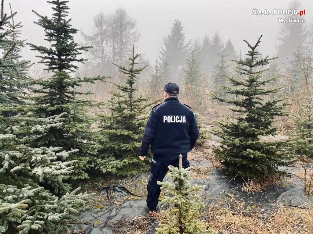 Policjanci przed świętami kontrolują lasy / fot. KMP Mysłowice