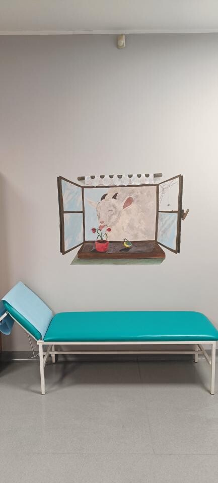 Poradnia dla dzieci w Przychodni Brackiej Wesoła w Mysłowicach, dzięki pracy zdolnych licealistek z Państwowego Liceum Plastycznego w Katowicach, zyskała nowy wygląd.